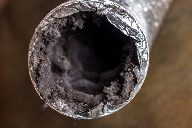 Best Commercial Air Duct Cleaning  in Butler Beach, FL